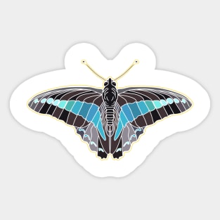 colorful natural butterfly Sticker